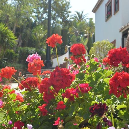 Puebla Agata Διαμέρισμα Μαρμπέλλα Εξωτερικό φωτογραφία